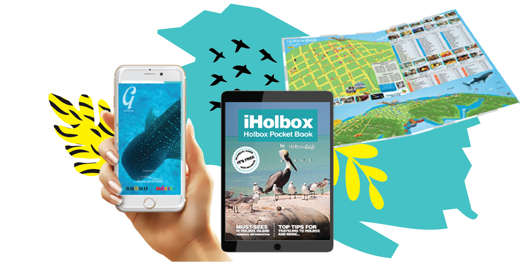Holbox App 