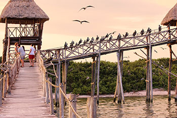 Holbox Tour Clasico